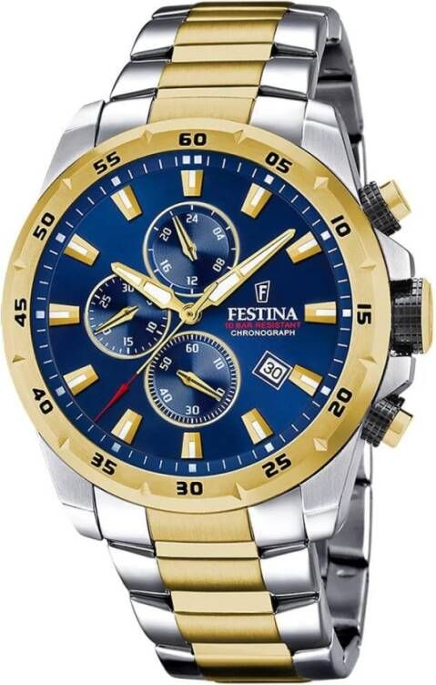 Festina Horloges , Grijs, Heren