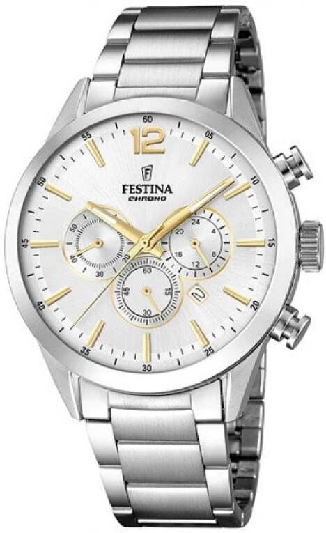 Festina Horloges , Grijs, Heren