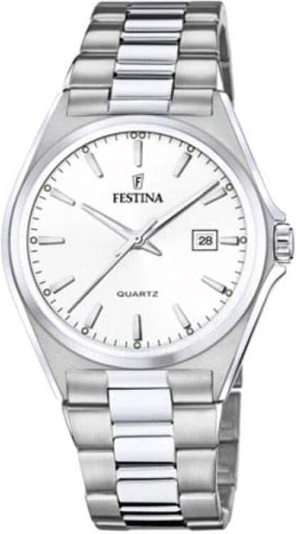 Festina Horloges , Grijs, Heren