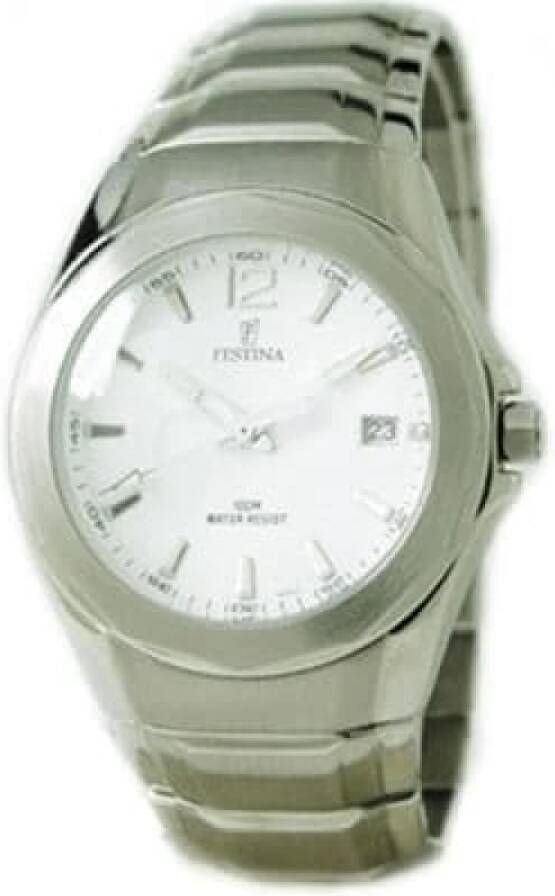 Festina Horloges , Grijs, Heren