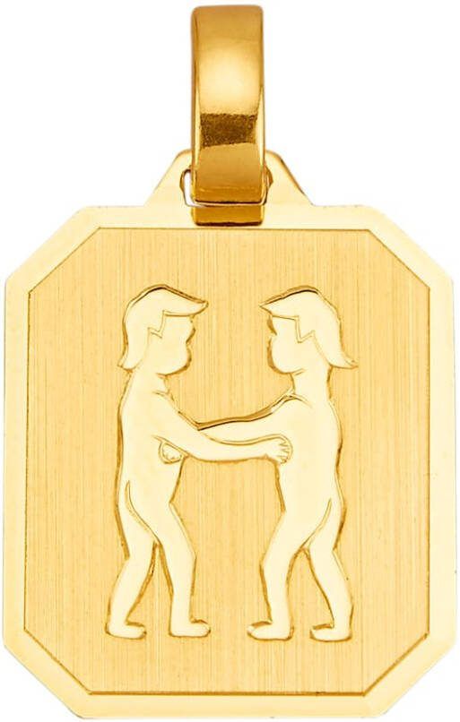 KLiNGEL Hanger Sterrenbeeld 8 kt. Geelgoudkleur