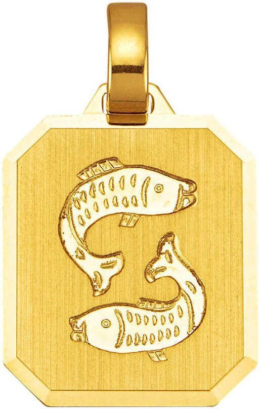 KLiNGEL Hanger Sterrenbeeld 8 kt. Geelgoudkleur