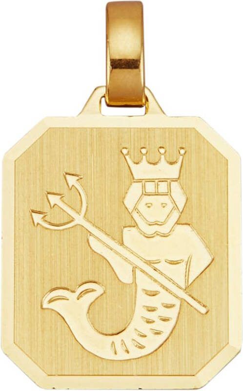 KLiNGEL Hanger Sterrenbeeld van 8 kt. Geelgoudkleur