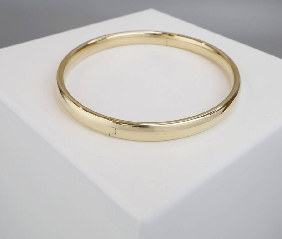 Christian Goud op zilver slavenarmband