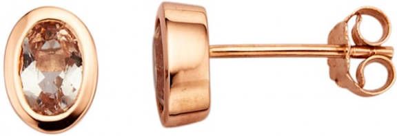 Diemer Farbstein Oorstekers met morganieten Roze