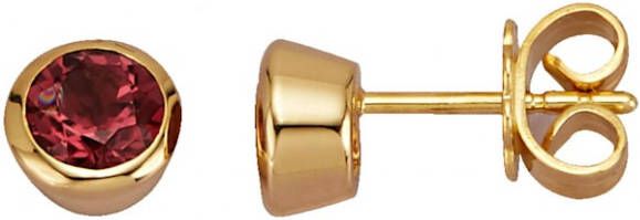 Diemer Farbstein Oorstekers met toermalijnen Roze