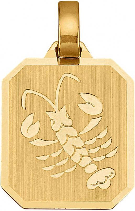 KLiNGEL Hanger Sterrenbeeld 8 kt. Geelgoudkleur